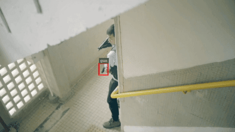 Gun Detector demo